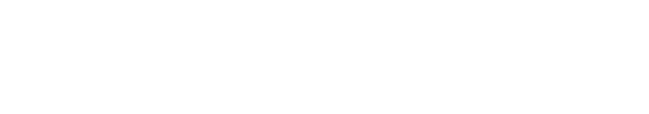 Oracle NetSuite Alliance Partner
